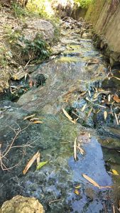 IMG-20191124-WA0030