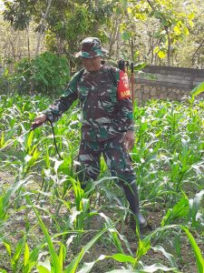 IMG-20191221-WA0060