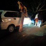 Tim SAR Batalyon C Pelopor Gerak Cepat Evakuasi Pohon Tumbang di Jalan Pramuka Bone ,Timpa 1 Unit Mobil