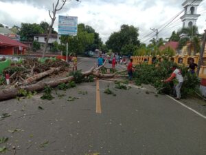 IMG-20210612-WA0011