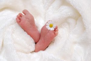 bayi