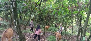 IMG-20220728-WA0017