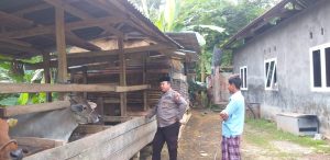 IMG-20220730-WA0078