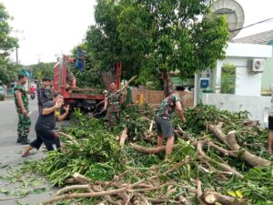 IMG-20230109-WA0016
