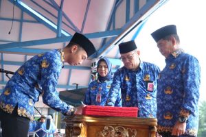 DSC01945-1024x683