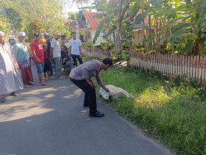 IMG-20240731-WA0523
