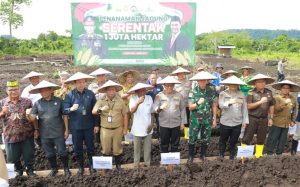 4F4A0644-1024x638