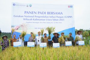 IKP06088-1024x683