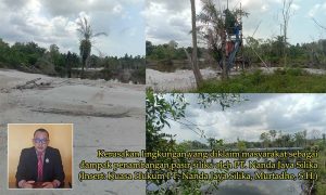 IMG-20250514-WA0041