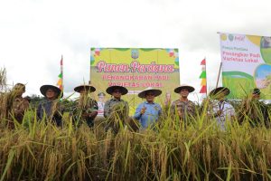 IMG-20250820-WA0015