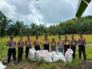 IMG-20260614-WA0009