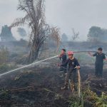 Pemprov Ingatkan Warga Waspadai Karhutla di Tengah Cuaca Ekstrem