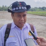 Metode PMAS: Pertanian Modern Nunukan Booming, Hasil Hingga 12 Ton Per Hektar