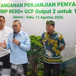 Kaltara Terima Rp41,5 Miliar, Gubernur Fokuskan untuk Rehabilitasi Hutan