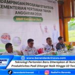 Teknologi Pertanian Baru Diterapkan di Nunukan, Produktivitas Padi Ditarget Naik Hingga 10 Ton/Hektar