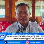 Terapkan Metode Tanam Langsung, PMAS Bidik Hasil Panen Naik Hingga 10 Ton per Hektar