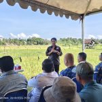 DPRD Nunukan Soroti Kelangkaan Pupuk NPK dan Dorong Anggaran Penanganan Hama Petani